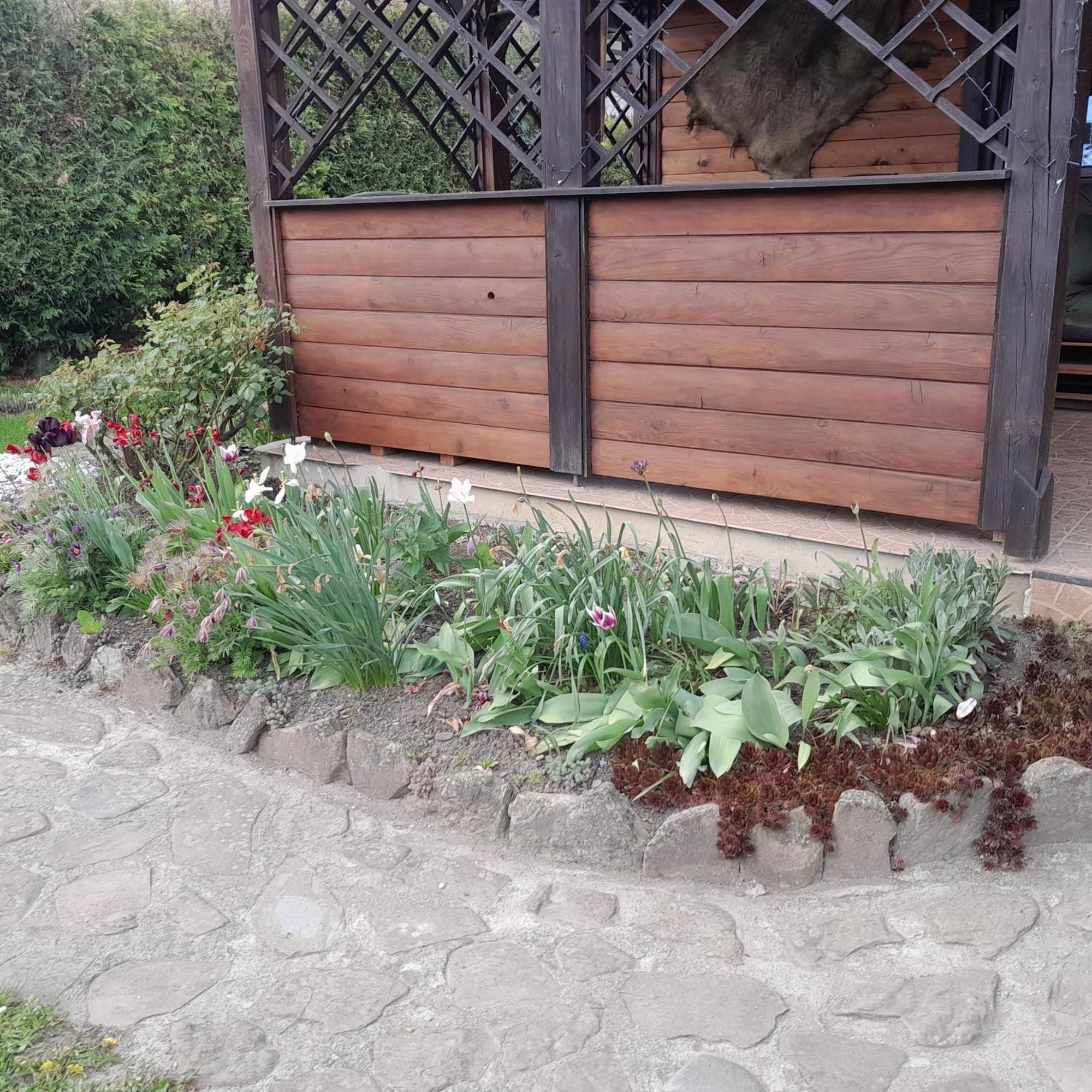 Majowy Domek Rymanów 外观 照片